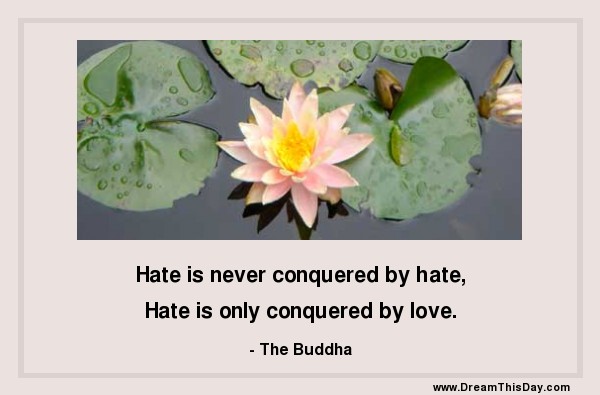 hate is never conquered by hate hate is only conquered by love the ...